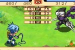 Dokapon Journey (DS)