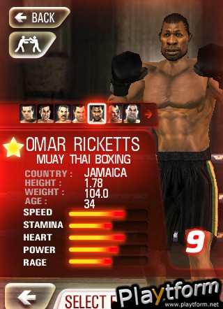 Iron Fist Boxing (iPhone/iPod)