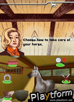 My Horse & Me 2: Riding for Gold (DS)