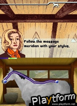 My Horse & Me 2: Riding for Gold (DS)