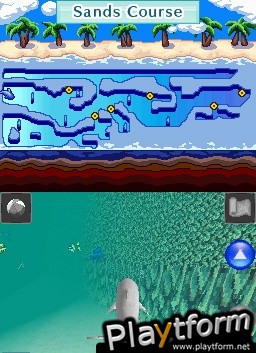 Discovery Kids: Dolphin Discovery (DS)