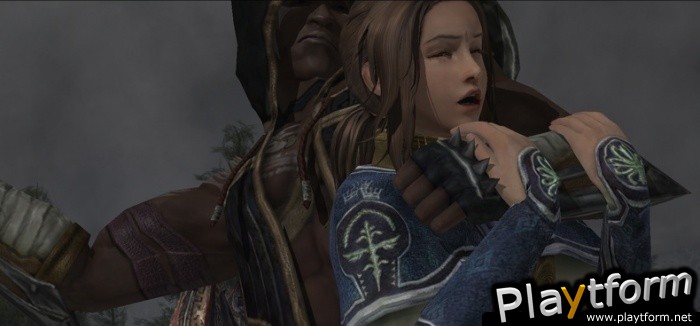 The Last Remnant (PC)