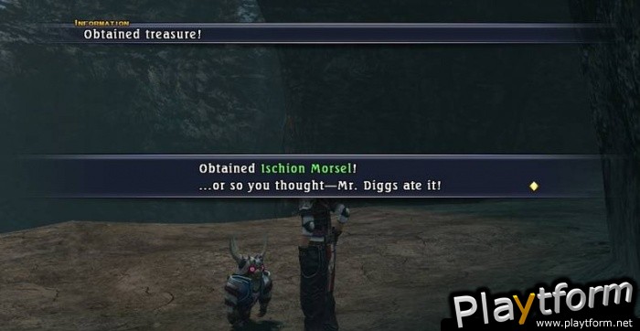 The Last Remnant (PC)