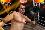 Iron Fist Boxing (iPhone/iPod)