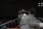 Don King Boxing (Wii)