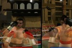 Don King Boxing (Wii)
