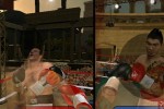 Don King Boxing (Wii)