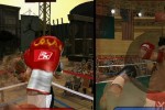 Don King Boxing (Wii)