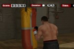 Don King Boxing (Wii)