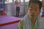 Don King Boxing (Wii)