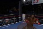 Don King Boxing (Wii)