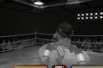 Don King Boxing (Wii)