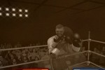 Don King Boxing (Wii)
