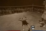 Don King Boxing (Wii)