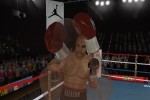 Don King Boxing (Wii)