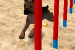 Discovery Kids: Puppy Playtime (DS)