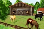 Discovery Kids: Pony Paradise (DS)