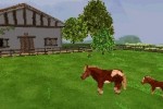 Discovery Kids: Pony Paradise (DS)