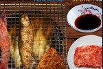 iBBQ - Fire It Up (iPhone/iPod)