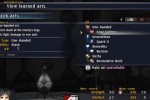 The Last Remnant (PC)