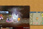 Final Fantasy Crystal Chronicles: Echoes of Time (Wii)