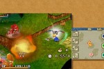 Final Fantasy Crystal Chronicles: Echoes of Time (Wii)