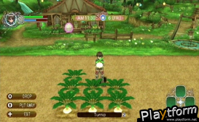 Rune Factory Frontier (Wii)