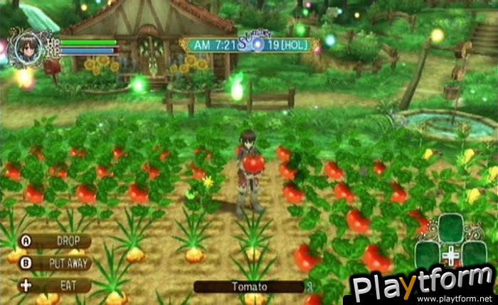 Rune Factory Frontier (Wii)