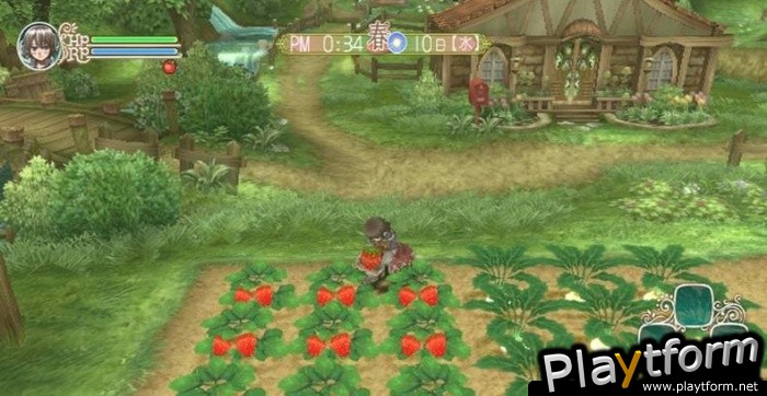 Rune Factory Frontier (Wii)