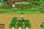 Rune Factory Frontier (Wii)