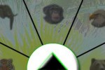 Animal Spin (iPhone/iPod)