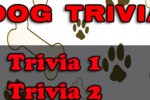 Dog Trivia (iPhone/iPod)
