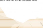 Dog Trivia (iPhone/iPod)