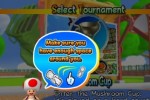 New Play Control! Mario Power Tennis (Wii)