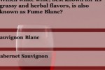 Wine Trivia (iPhone/iPod)