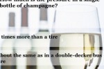 Wine Trivia (iPhone/iPod)