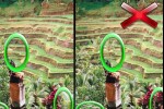Megatouch Photo Hunt (iPhone/iPod)