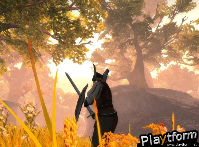 The Dark Eye: Drakensang (PC)
