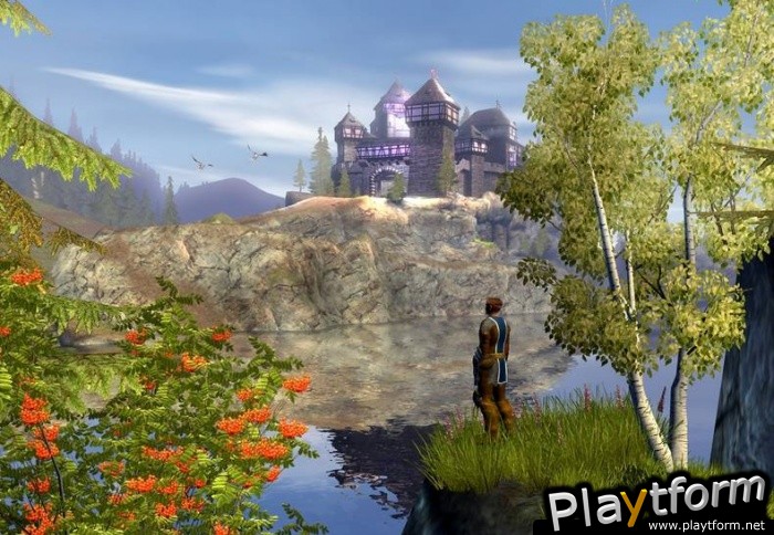 The Dark Eye: Drakensang (PC)