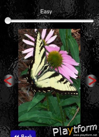 TilePics (iPhone/iPod)