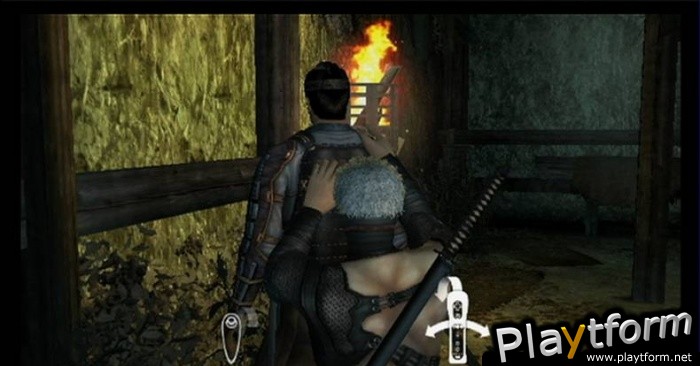 Tenchu: Shadow Assassins (Wii)