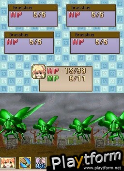 My World My Way (DS)