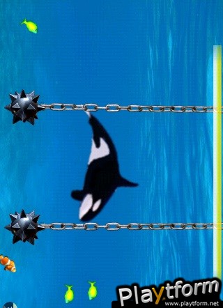 Feed Killer (iPhone/iPod)