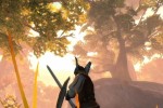 The Dark Eye: Drakensang (PC)