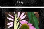 TilePics (iPhone/iPod)