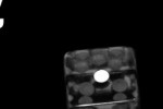 Gray Dice (iPhone/iPod)