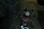 Tenchu: Shadow Assassins (Wii)