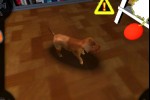Real Puppy 3D (iPhone/iPod)