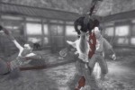 Afro Samurai (PlayStation 3)