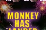 Monkey Fire (iPhone/iPod)